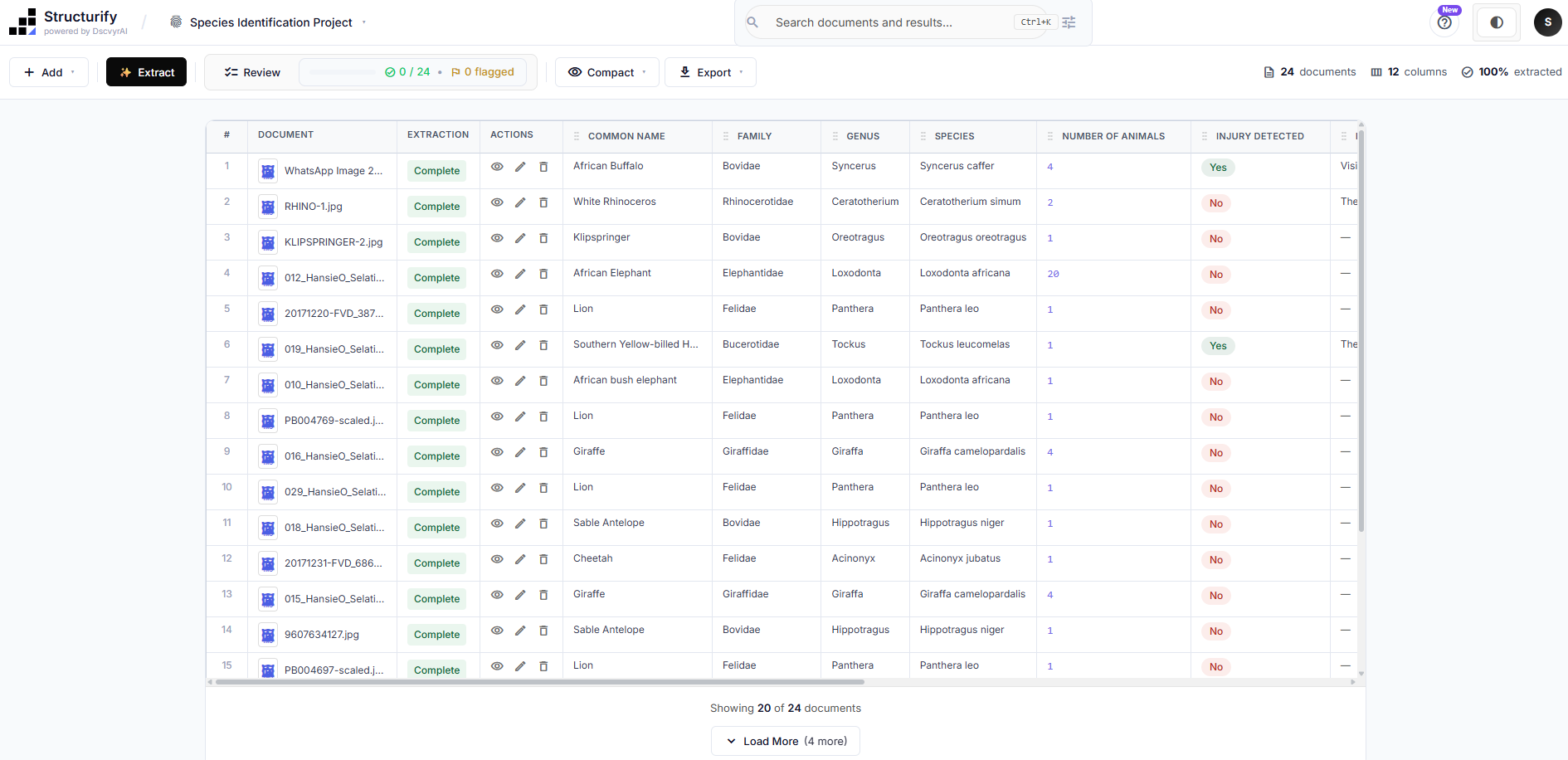 Structurify platform - AI-powered document extraction